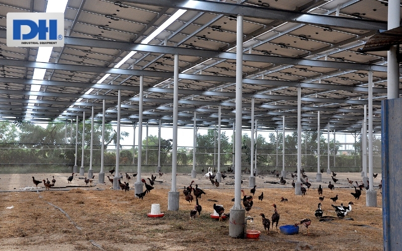 Hệ thống điện mặt trời cho trang trại nuôi gia súc, gia cầm