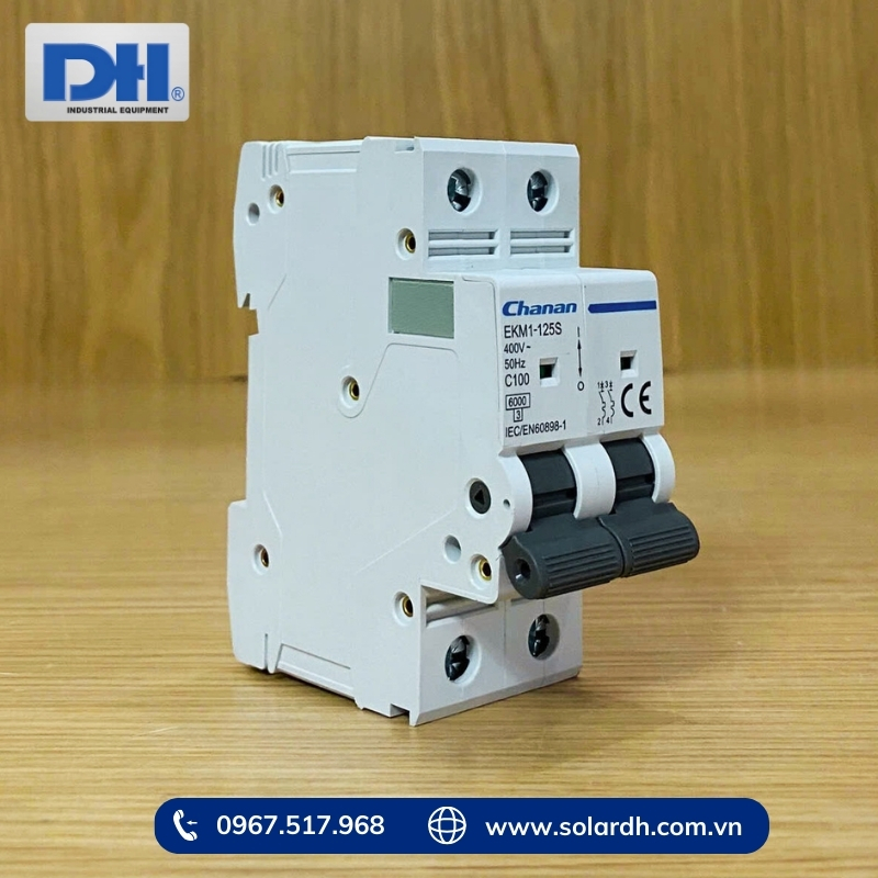  MCB AC 100A 2P Chanan