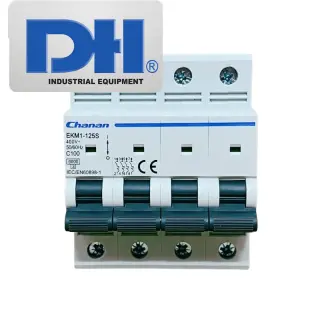MCB AC 100A 4P 6kA Chanan EKM1-125S