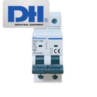 Thiết bị đóng cắt điện MCB Chanan AC 100A 2P | EKM1-125S
